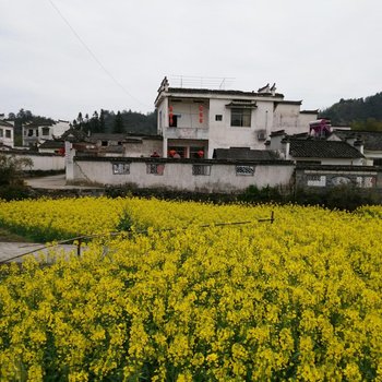 黄山西递小停春苑客栈酒店提供图片