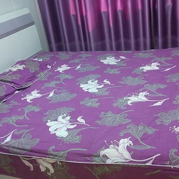 通化集安宝哥日租房公寓酒店提供图片