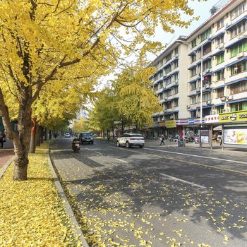 成都简家旅行温馨居住普通公寓(锦里西路店)酒店提供图片