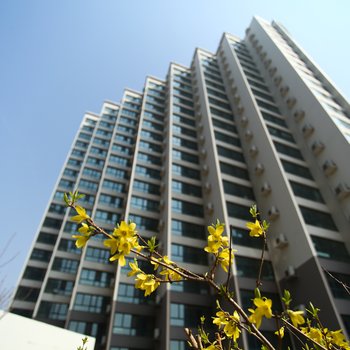 南戴河金海岸星耀海景公寓