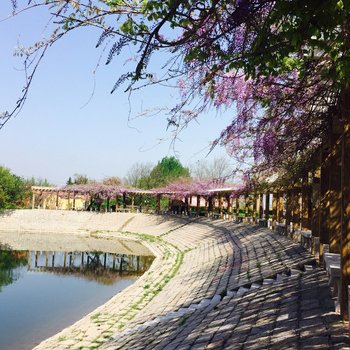 青岛崂山仰口沉香茶艺雅居普通公寓酒店提供图片