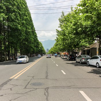 成都都江堰景区清新浪漫套房复式酒店提供图片