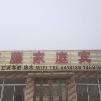 兴城藤藤家庭宾馆酒店提供图片