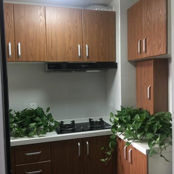 北京文青简约之家公寓
