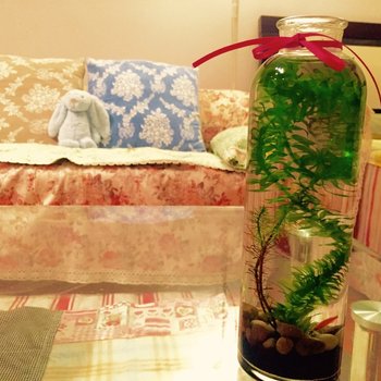 上海小盒子公寓(福州路分店)酒店提供图片