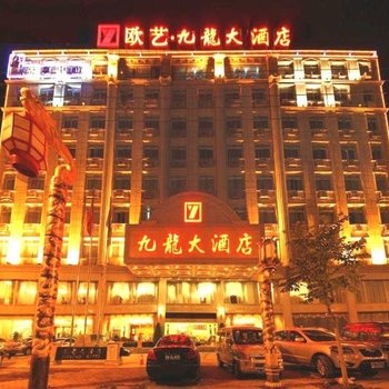 百色欧艺九龙大酒店酒店提供图片