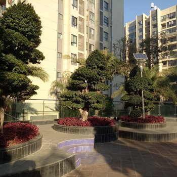 凉山西昌鑫海国际湿地公寓阳光小屋酒店提供图片