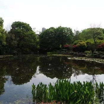 马鞍山喵喵喵喵呜的家公寓(2号店)酒店提供图片