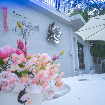 深圳一棵花树正好开民宿