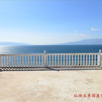 澄江抚仙湖五养园酒店酒店提供图片