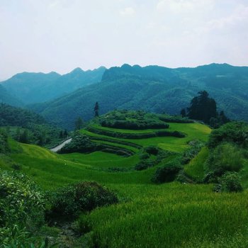 遂昌高山杜鹃农家酒店提供图片