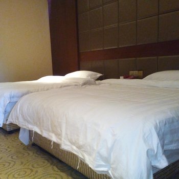 铜梁新曼谷大酒店酒店提供图片