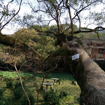 婺源晓川驿站酒店提供图片