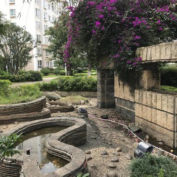 昆明大洋芋青旅
