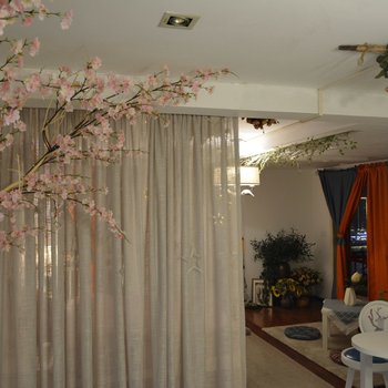 重庆chen海林特色民宿(新华路分店)酒店提供图片