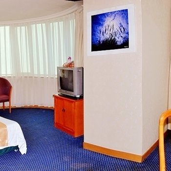 乌鲁木齐鸿鑫酒店酒店提供图片