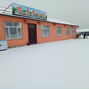 漠河北极村极点农家院酒店提供图片