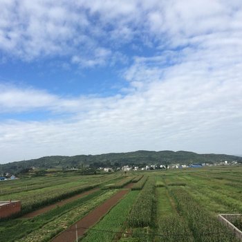 信阳喜来居酒店酒店提供图片