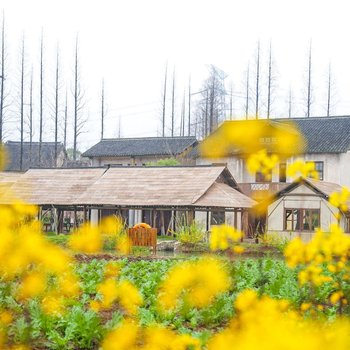 乌镇乌村酒店