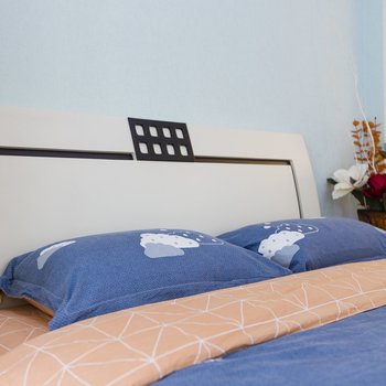 重庆佳子123特色民宿(新华路分店)酒店提供图片