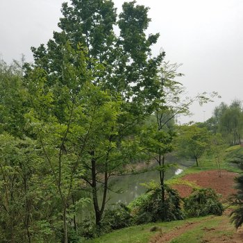 成都她他小屋(香槟路分店)酒店提供图片