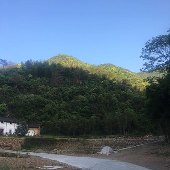 千岛湖森林氧吧农乐缘山庄酒店提供图片