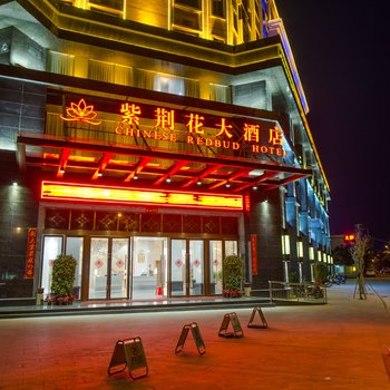 东方紫荆花大酒店酒店提供图片