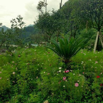 都江堰林语山庄酒店提供图片