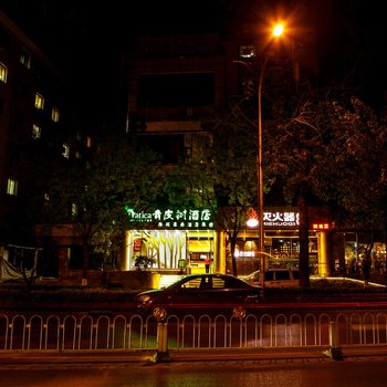 青皮树酒店(北京天坛东门龙潭公园店)