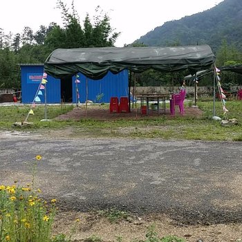 阳江仙家洞水库鱼独家销售休闲中心