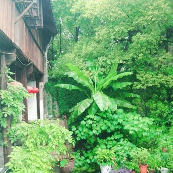 湖州百间楼客栈酒店提供图片