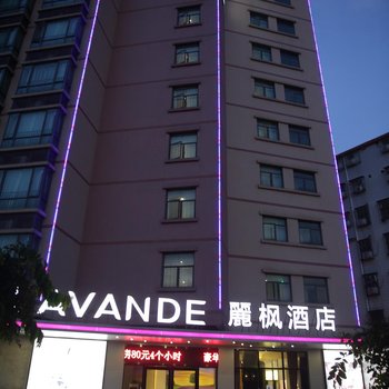 丽枫酒店(佛山魁奇路地铁站店)酒店提供图片