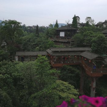 洪雅徐记瓦屋山生态羊肉酒店酒店提供图片