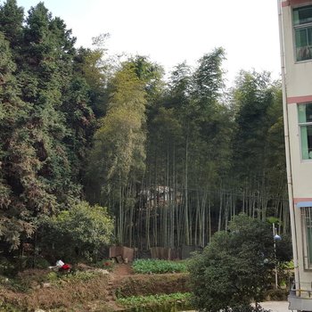 婺源望乡青年旅社酒店提供图片