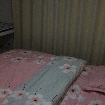 乌鲁木齐果果的小窝窝复式酒店提供图片