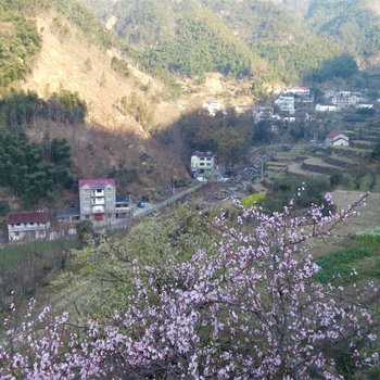 临安平萍望山楼酒店提供图片