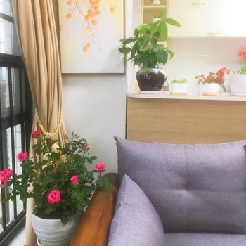 清远江芬公寓酒店提供图片