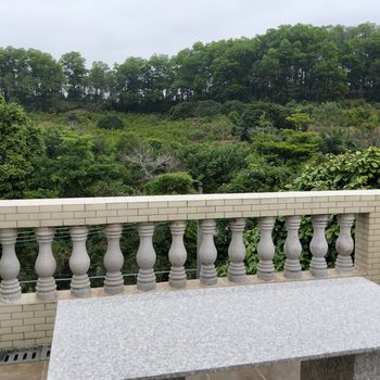 广州温先森特色民宿酒店提供图片