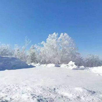 雪乡永安家庭宾馆酒店提供图片