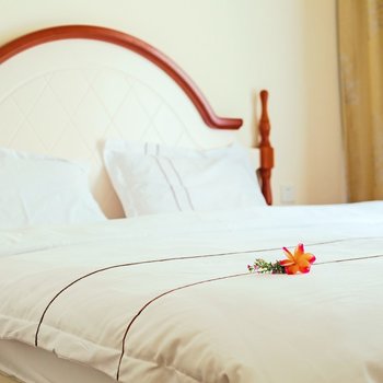 西双版纳星驿国际度假公寓（西双版纳万达店）酒店提供图片