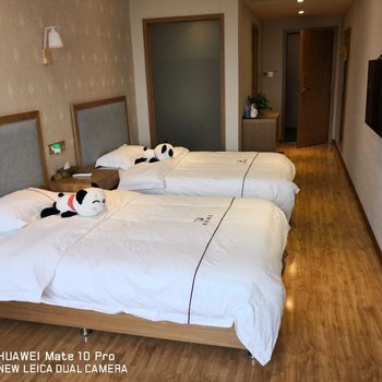 成都熊猫主题酒店