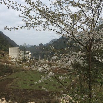 桑植良辰山庄酒店提供图片