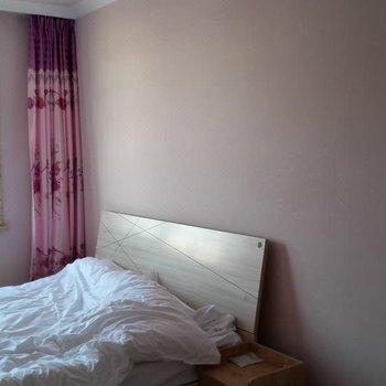 白山起龍普通公寓酒店提供图片