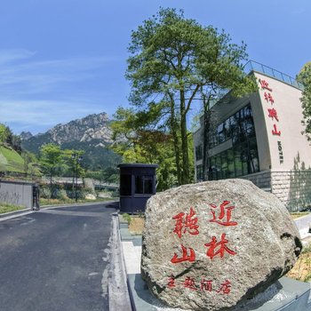 黄山近林听山主题酒店酒店提供图片