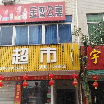 东阳金鹰公寓酒店提供图片