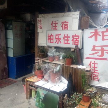 南京柏乐住宿