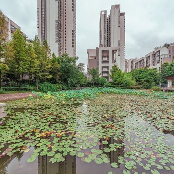 重庆晓燕的家普通公寓(杰青大道店)酒店提供图片