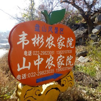 天津韦彬农家院