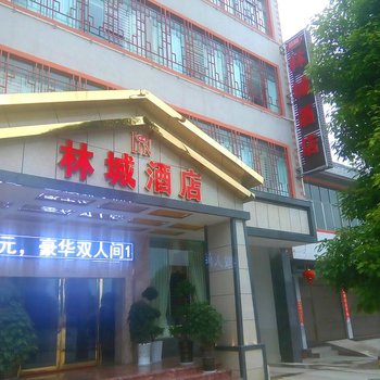 安顺普定林城大酒店酒店提供图片