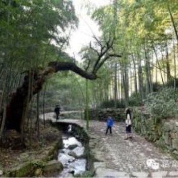 绍兴绿屋姐姐特色民宿酒店提供图片